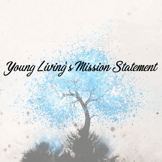 cameff_1498167227142