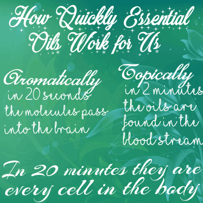 cameff_1498306324937